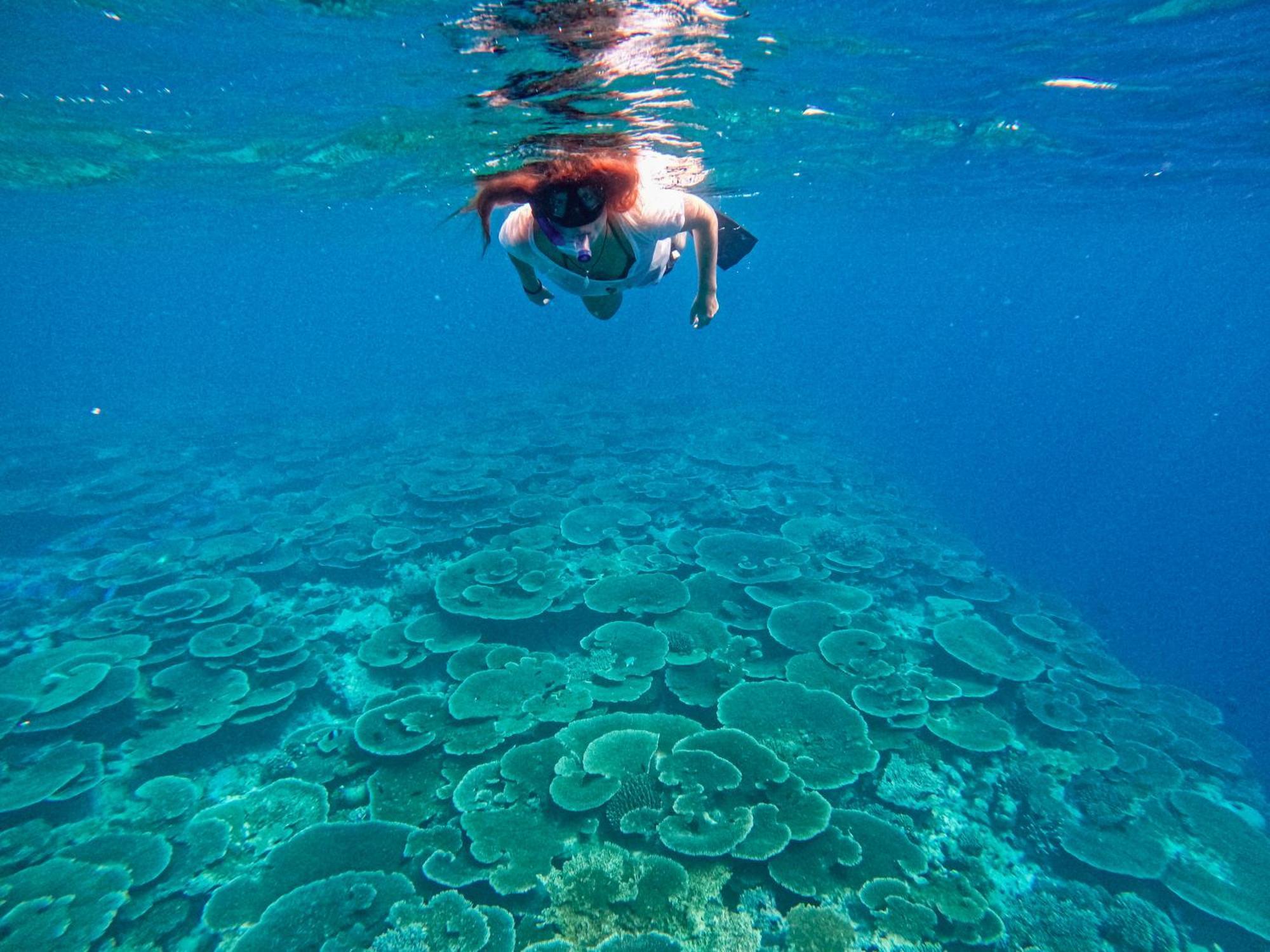 Manta Sea View Himandhoo Otel Dış mekan fotoğraf