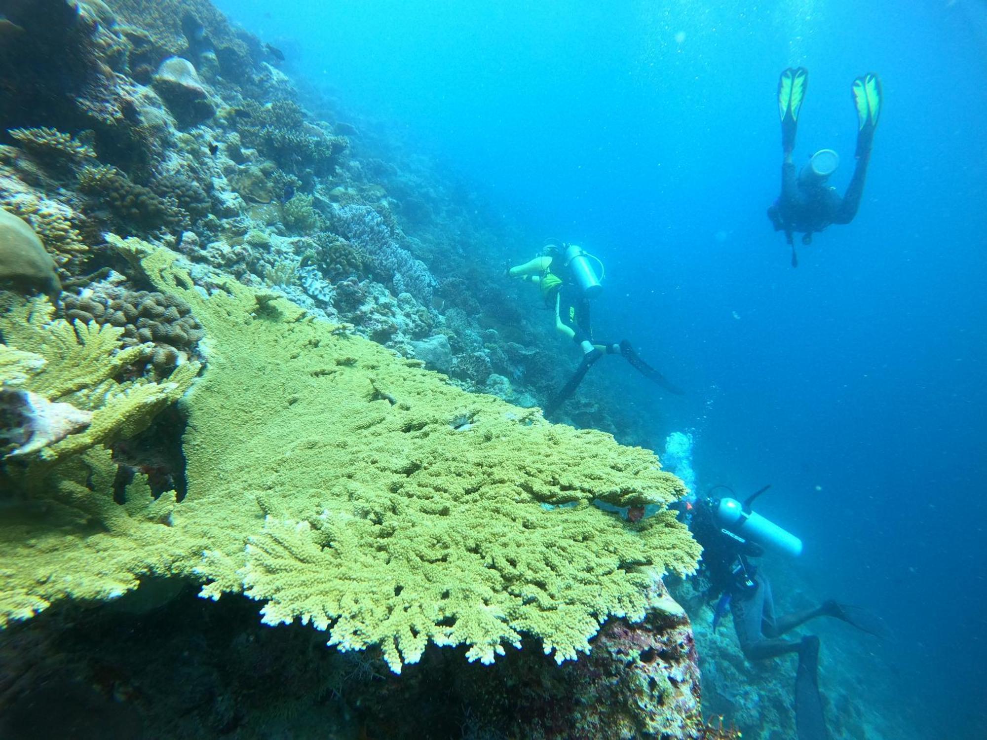 Manta Sea View Himandhoo Otel Dış mekan fotoğraf